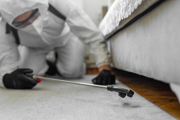 Professional Cockroach Control technician working in Golden Gate, FL